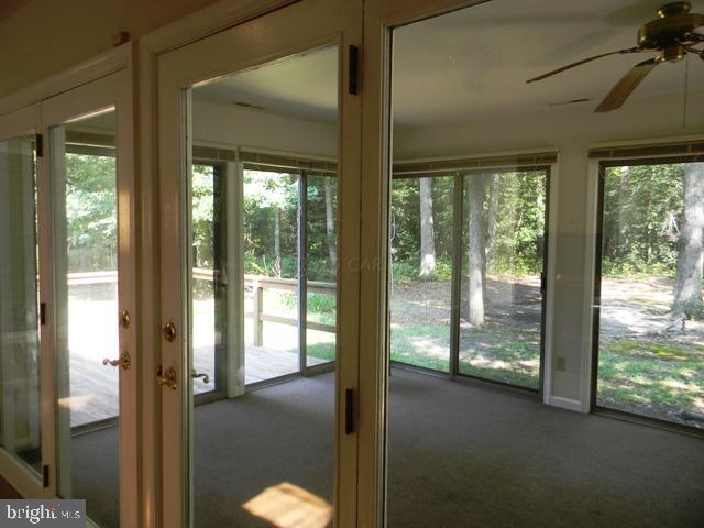 31196 Carioca Road Delmar, MD 21875 - Photo 20 of 21 Gallery Image 20