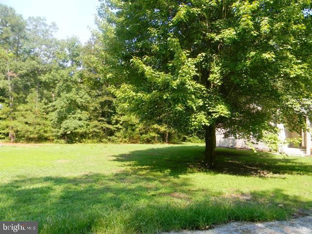 31196 Carioca Road Delmar, MD 21875 - Photo 21 of 21 Gallery Image 21