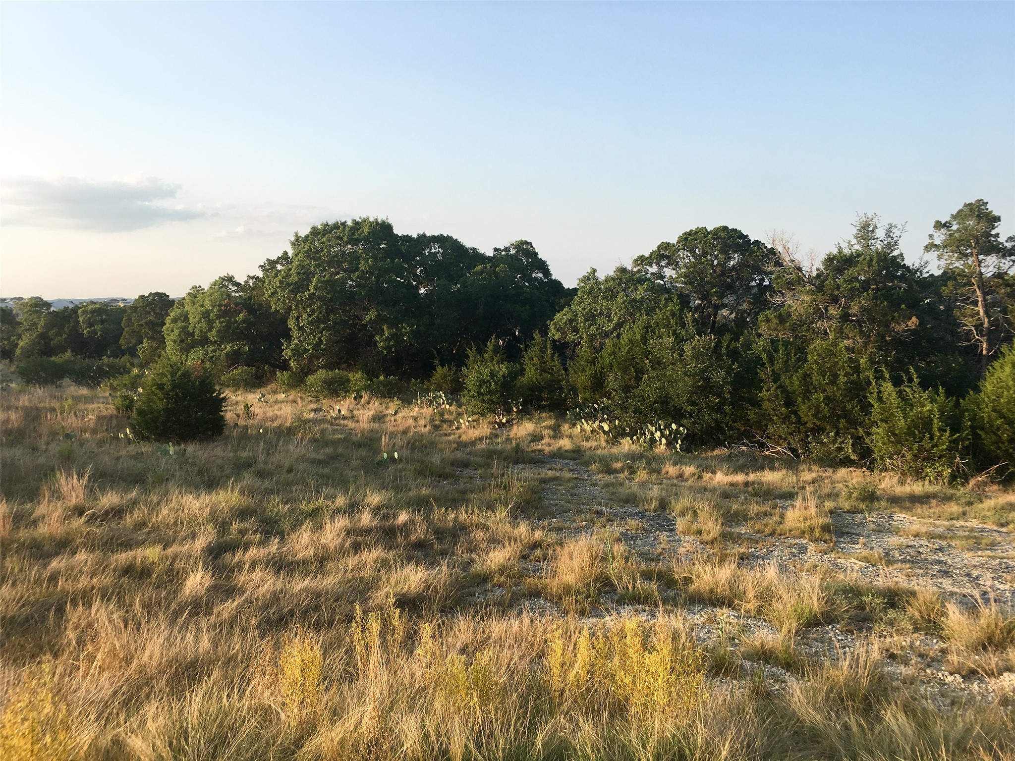 113 Enigma Avenue Spring Branch, TX 78070 - Photo 3 of 6