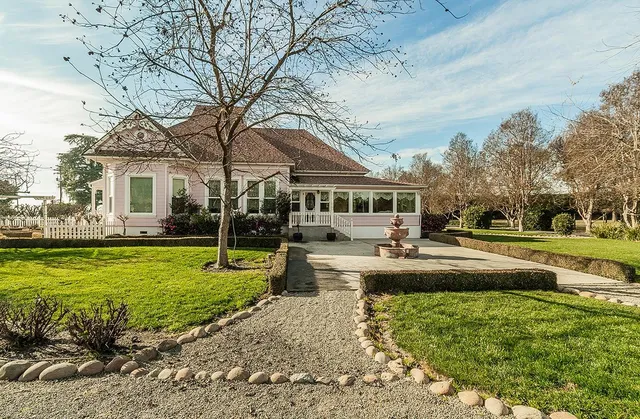 a view of a yard in front of a house with plants and large tree