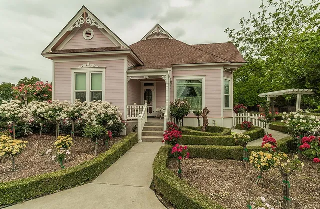 a view of banana tree