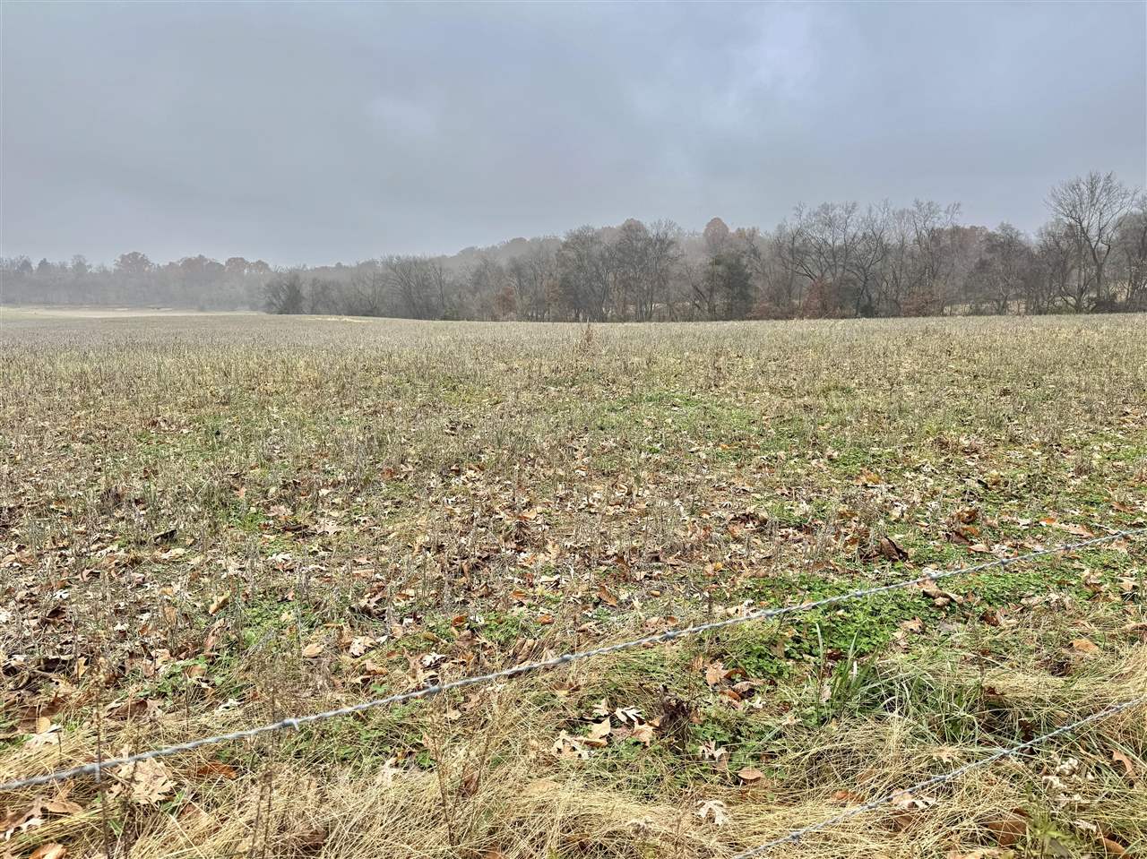 0 Duncan Road Alvaton, KY 42122 - Photo 5 of 14 Gallery Image 5