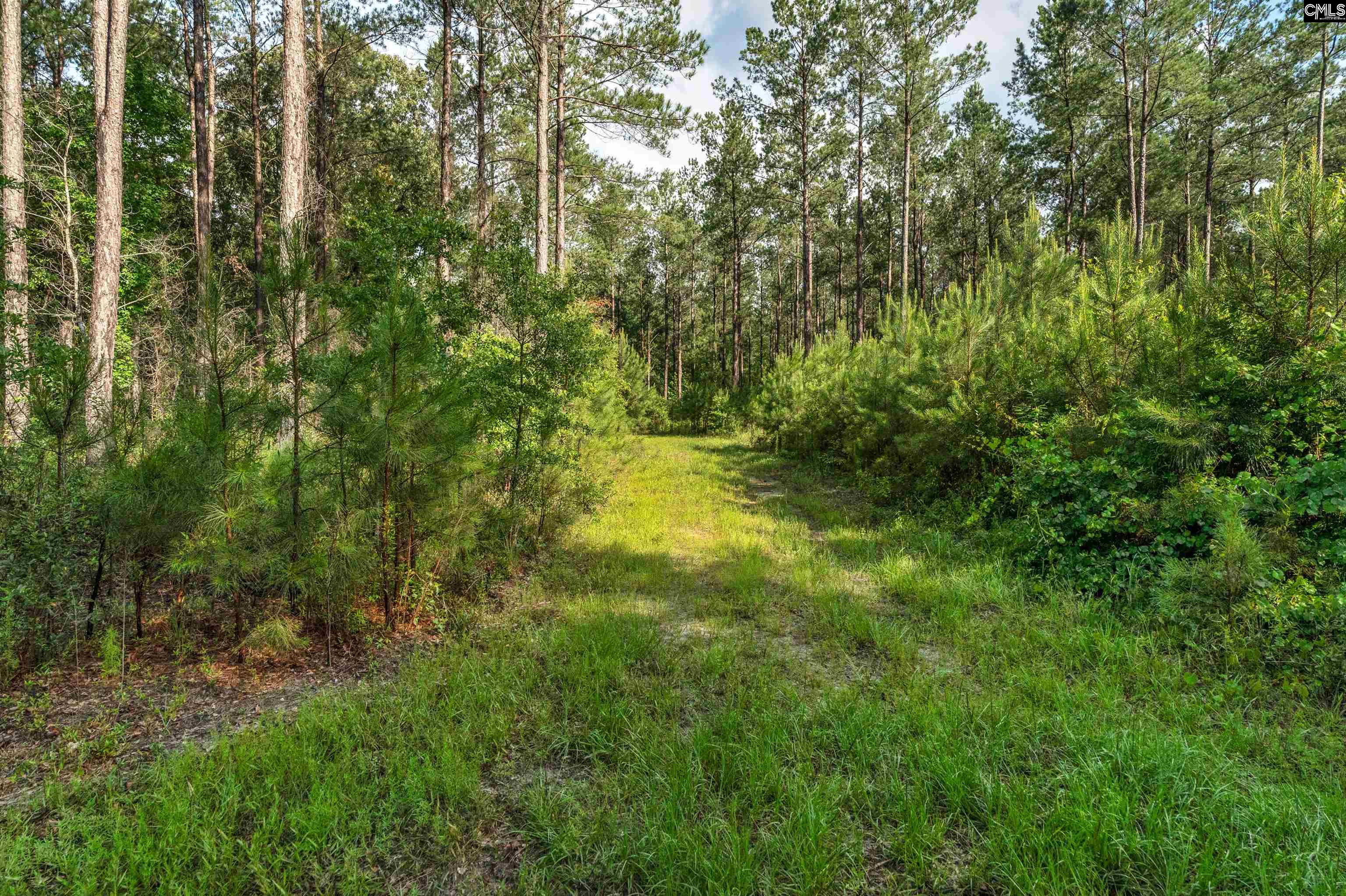 0 North Brewington Road, Unit 10 Manning, SC 29102 - Photo 16 of 29