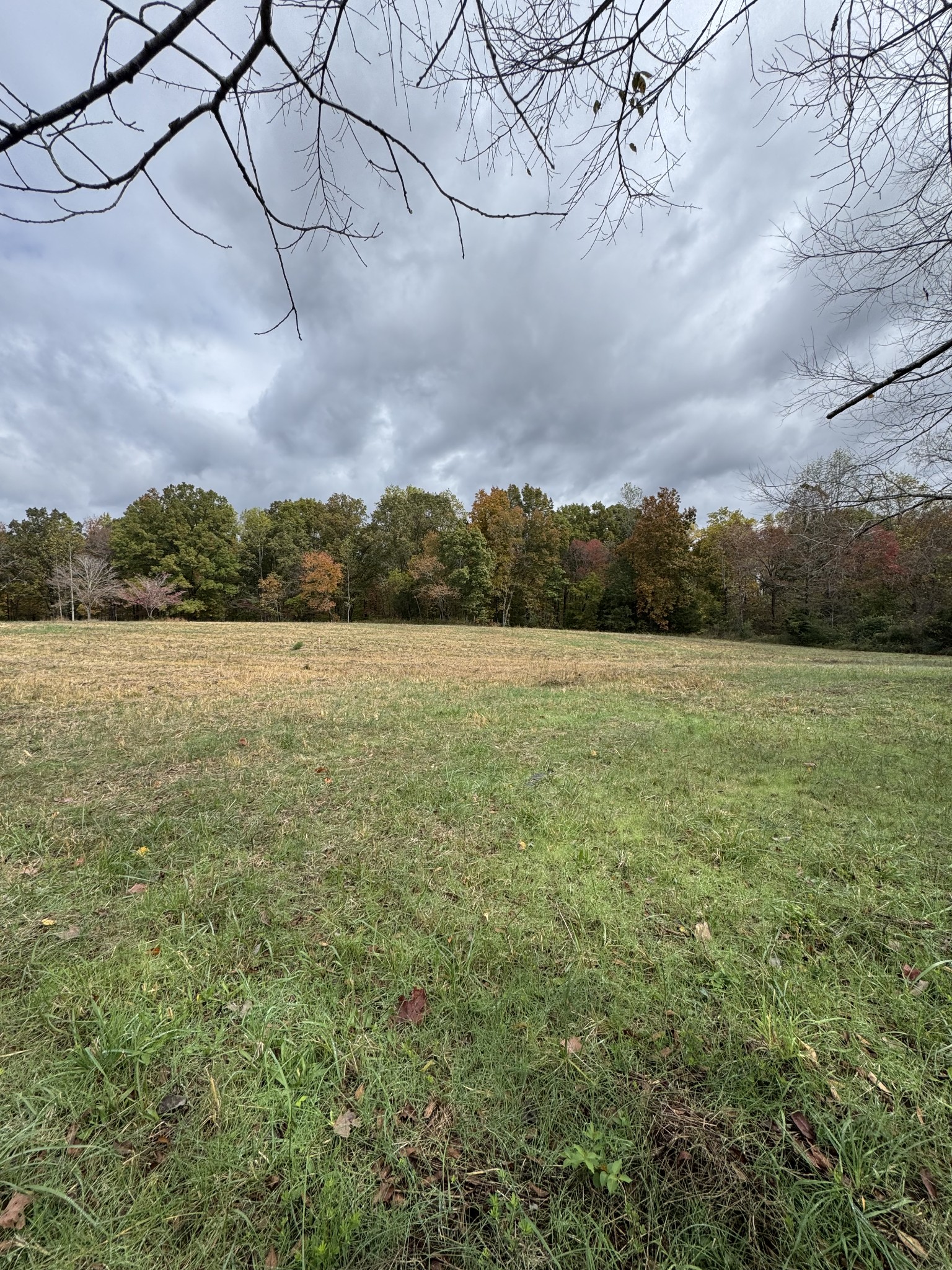 1165 Mt Pleasant Road Kingston Springs, TN 37082 - Photo 4 of 8 a view of a field with an ocean