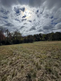 a view of a field with an ocean