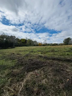 a view of outdoor space with lots of trees