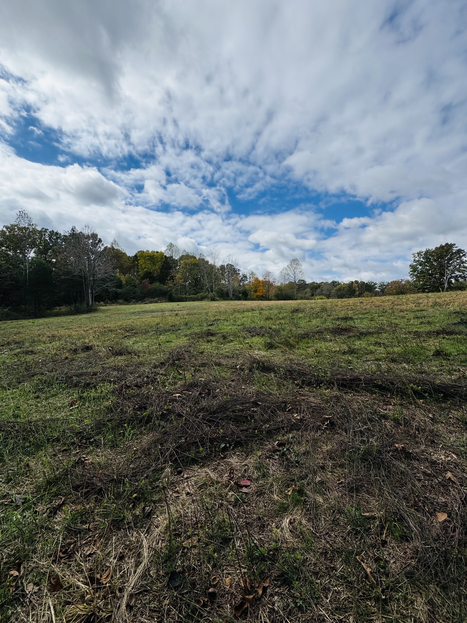 1165 Mt Pleasant Road Kingston Springs, TN 37082 - Photo 6 of 8 a view of a field with an ocean