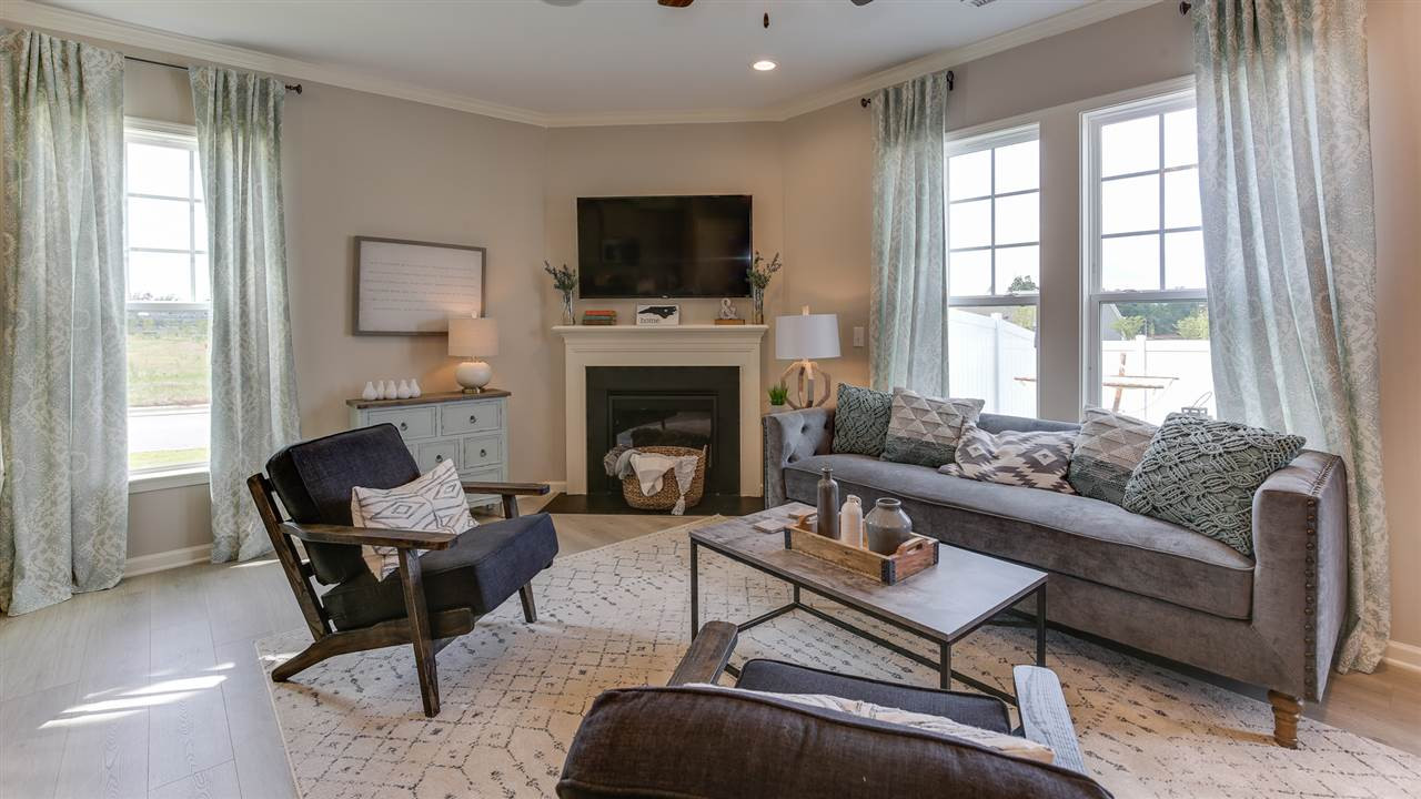 5916 Humanity Lane, Unit 2292 Raleigh, NC 27616 - Photo 2 of 30 Living Room