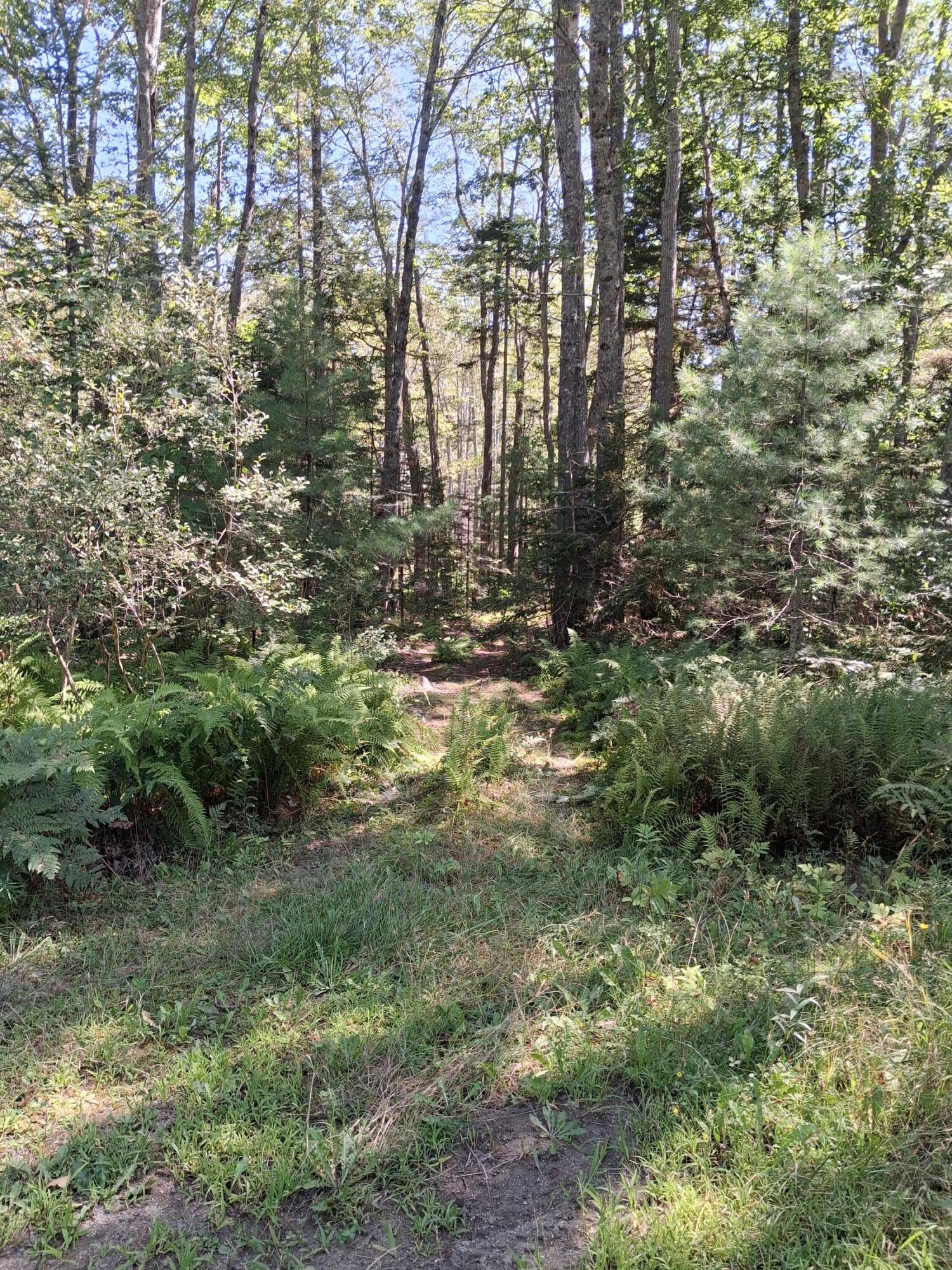 1.4-1.5 1.4-1.5 Spruce Ridge Edgecomb, ME 04556 - Photo 11 of 17 20250828_125846