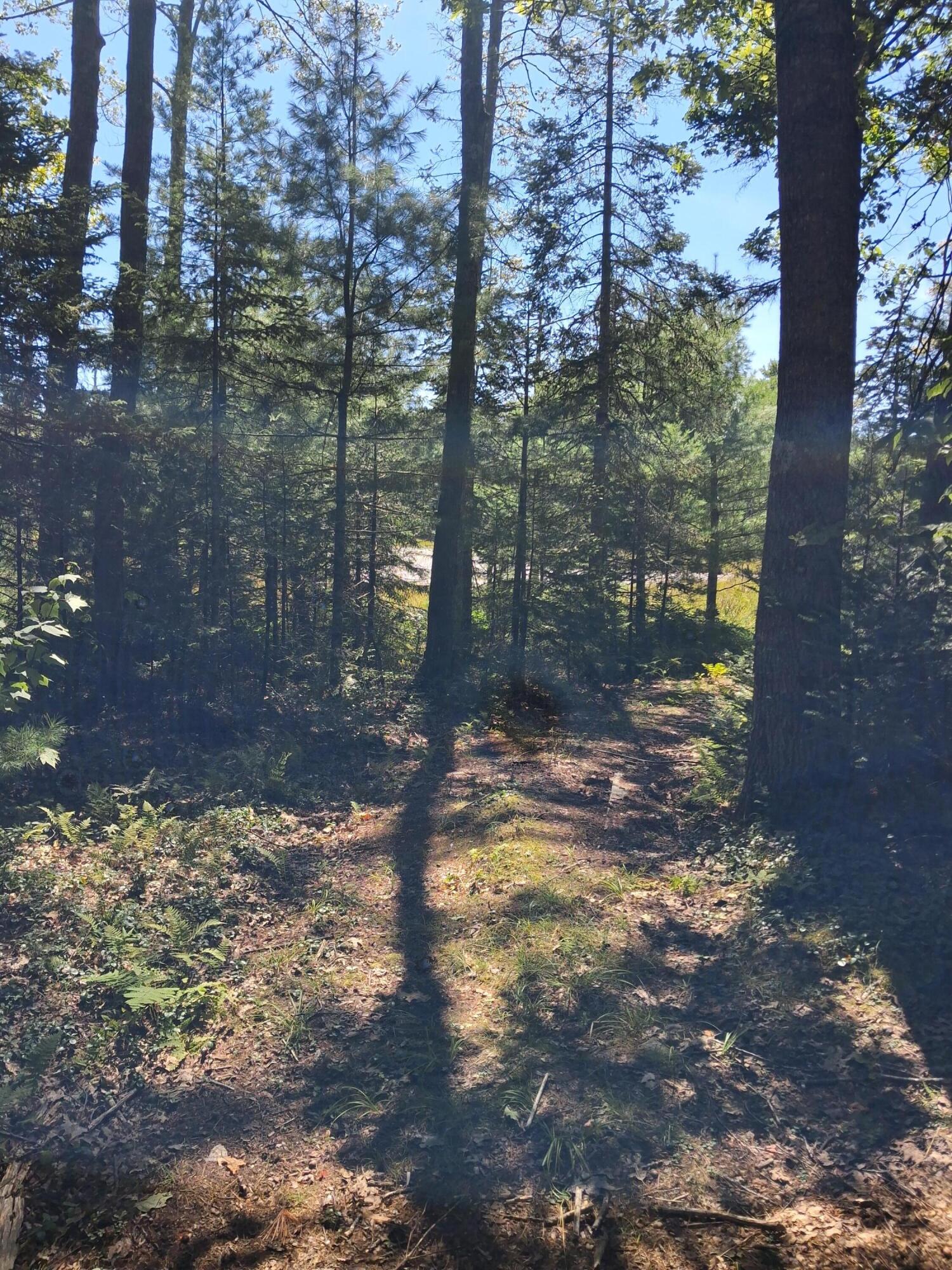 1.4-1.5 1.4-1.5 Spruce Ridge Edgecomb, ME 04556 - Photo 12 of 17 20250828_130005