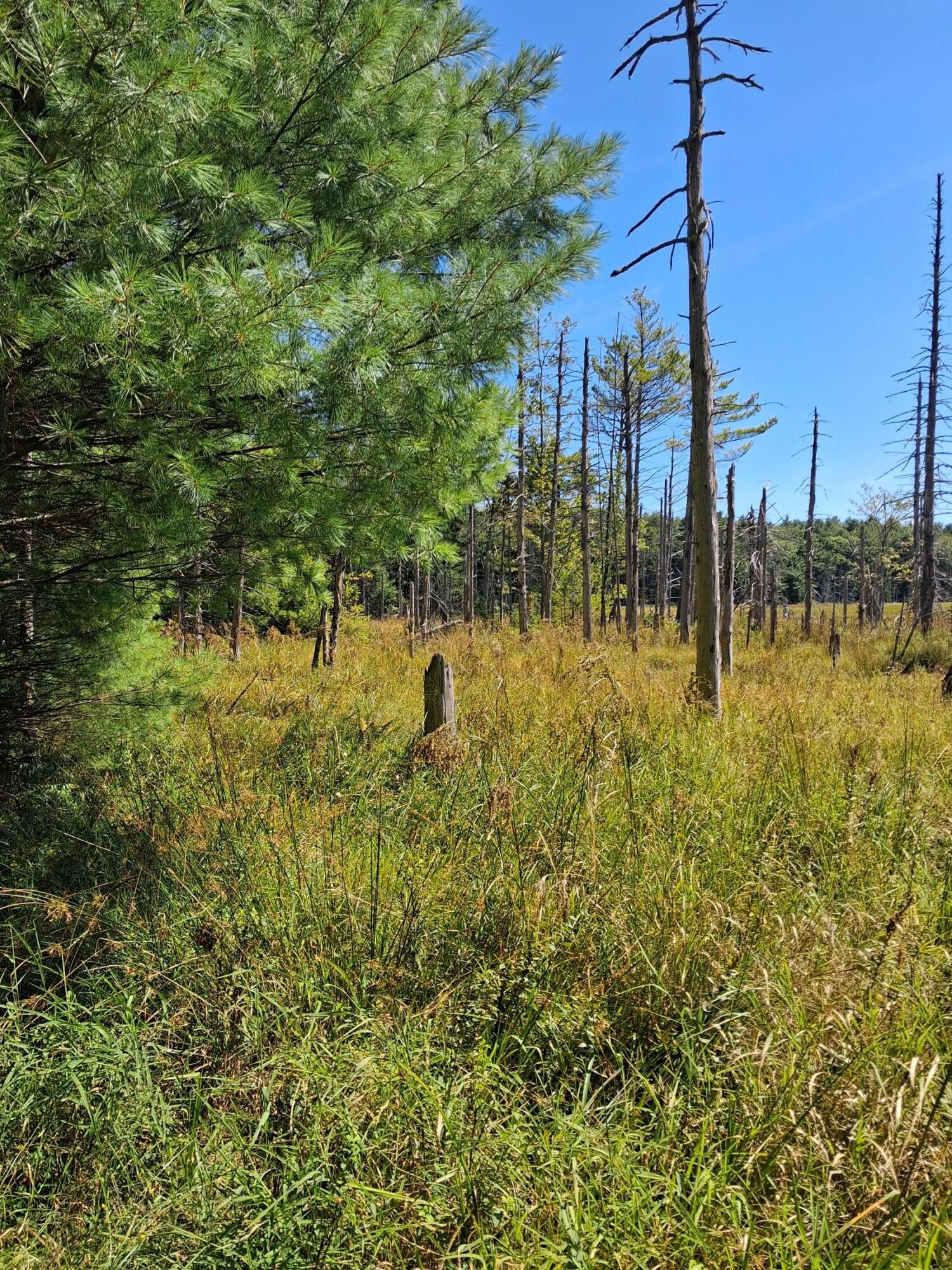 1.4-1.5 1.4-1.5 Spruce Ridge Edgecomb, ME 04556 - Photo 14 of 17 20250828_130036