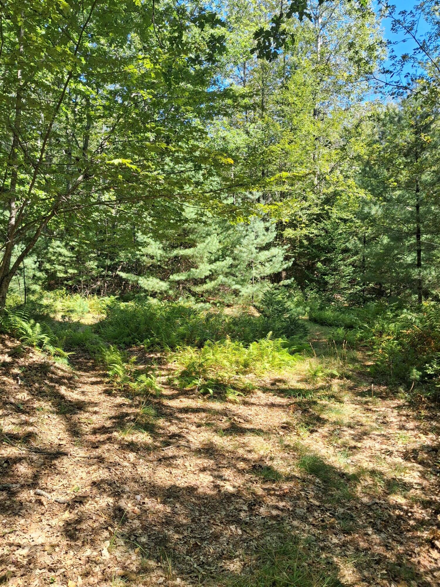 1.4-1.5 1.4-1.5 Spruce Ridge Edgecomb, ME 04556 - Photo 16 of 17 20250828_130522