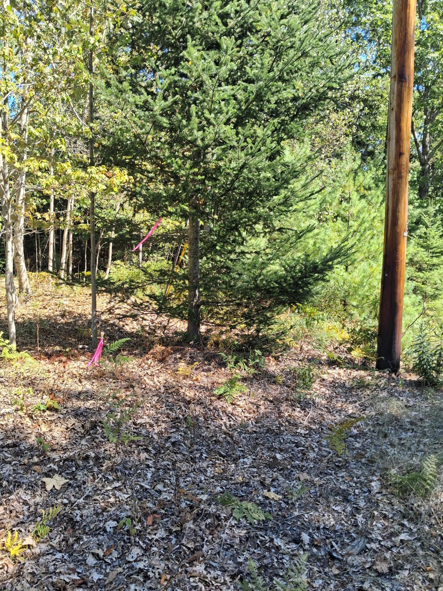 1.4-1.5 1.4-1.5 Spruce Ridge Edgecomb, ME 04556 - Photo 2 of 17 20250828_125606