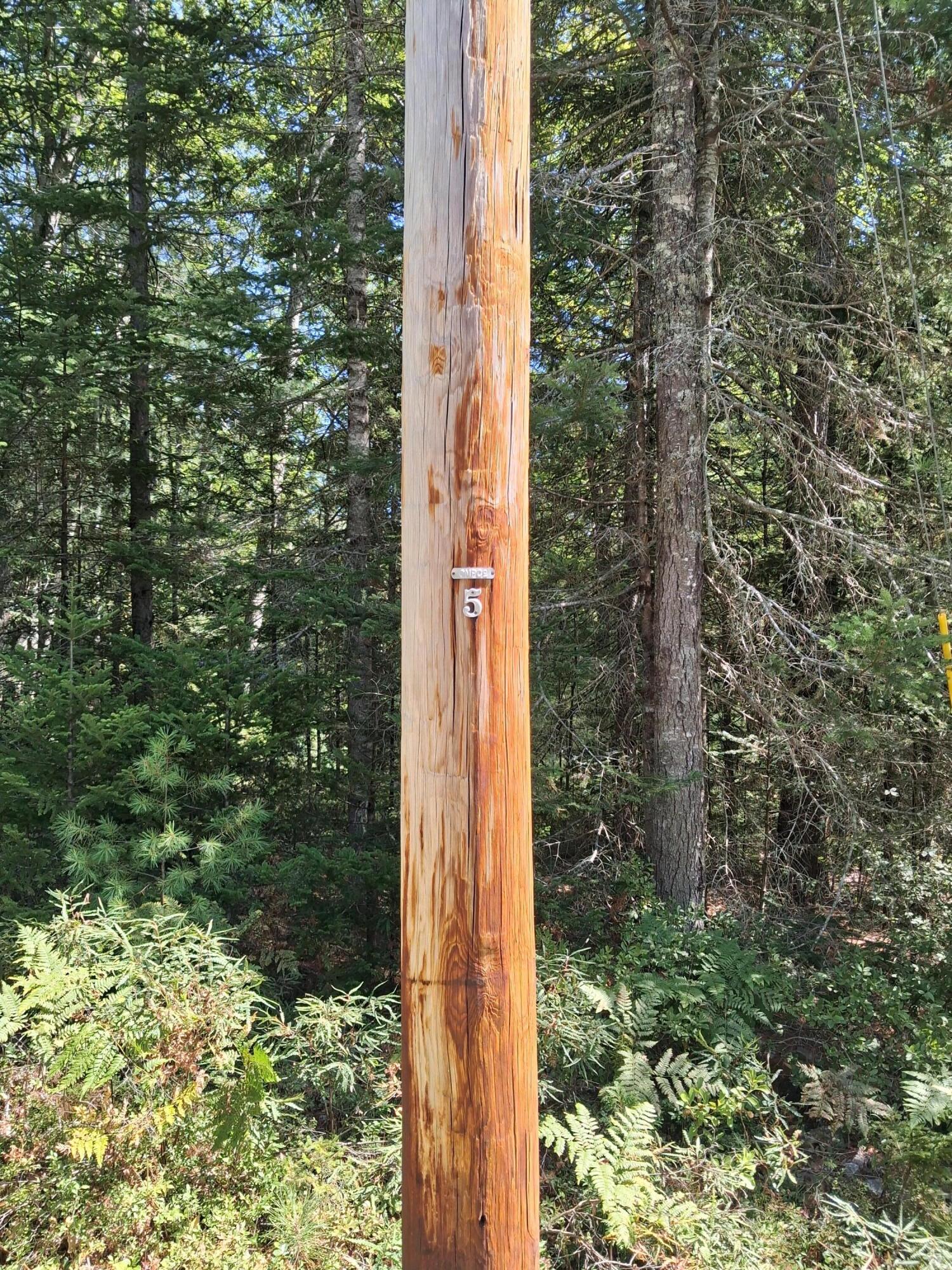 1.4-1.5 1.4-1.5 Spruce Ridge Edgecomb, ME 04556 - Photo 6 of 17 20250828_125712