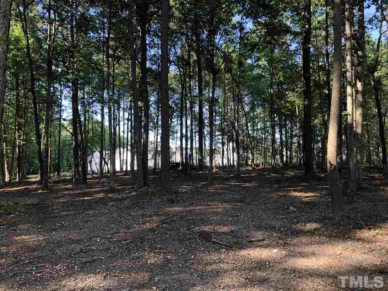 1911 Eddie Howard Road Willow Spring, NC 27592 - Photo 5 of 12 a view of a backyard with large trees