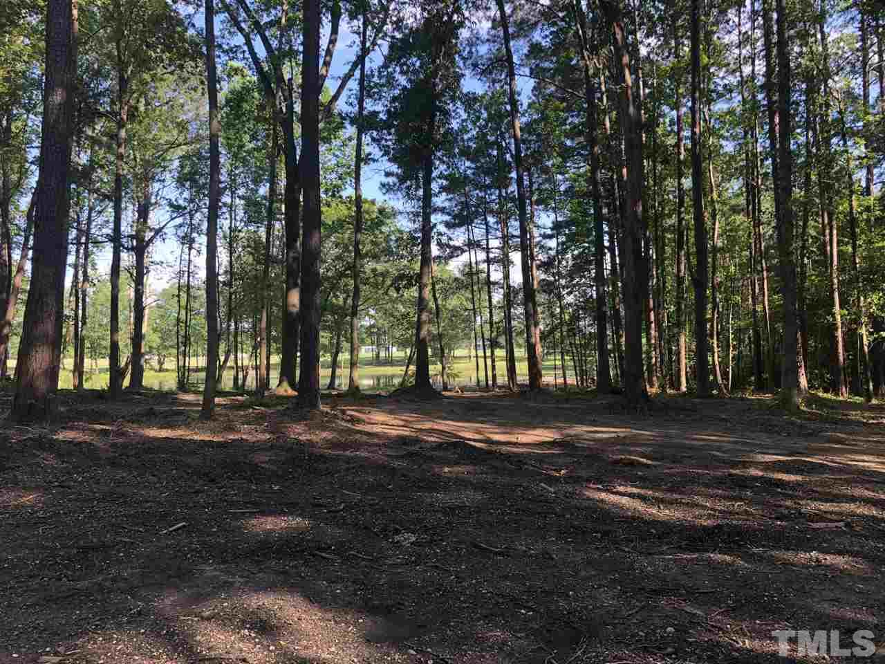 1911 Eddie Howard Road Willow Spring, NC 27592 - Photo 6 of 12