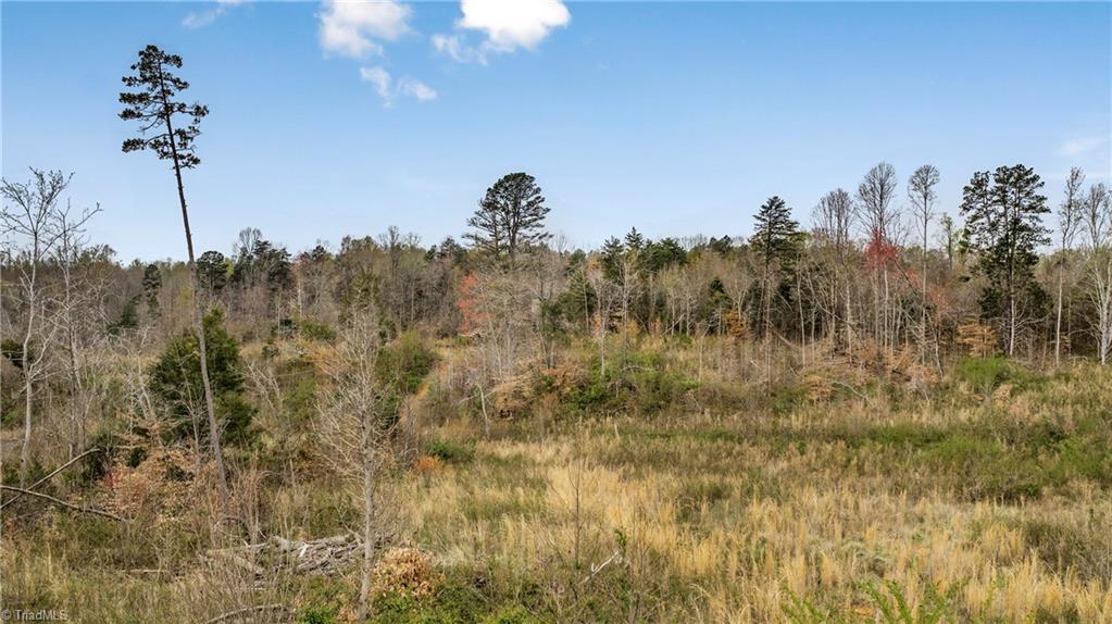 0 Fulton Road Advance, NC 27006 - Photo 20 of 37 22 +/- Acres - Fulton Road
