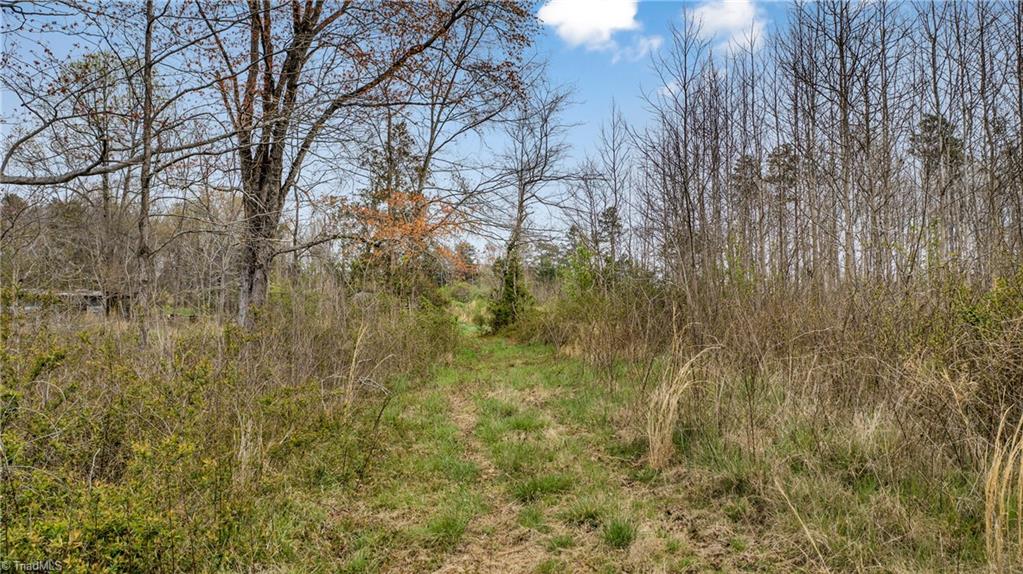 0 Fulton Road Advance, NC 27006 - Photo 21 of 37 22 +/- Acres - Fulton Road