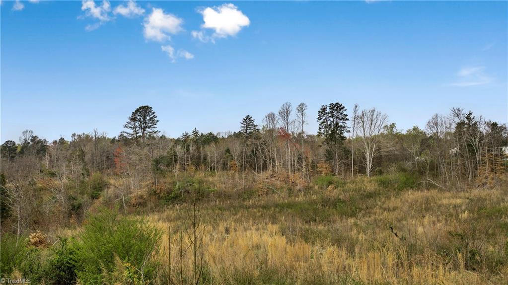 0 Fulton Road Advance, NC 27006 - Photo 22 of 37 22 +/- Acres - Fulton Road