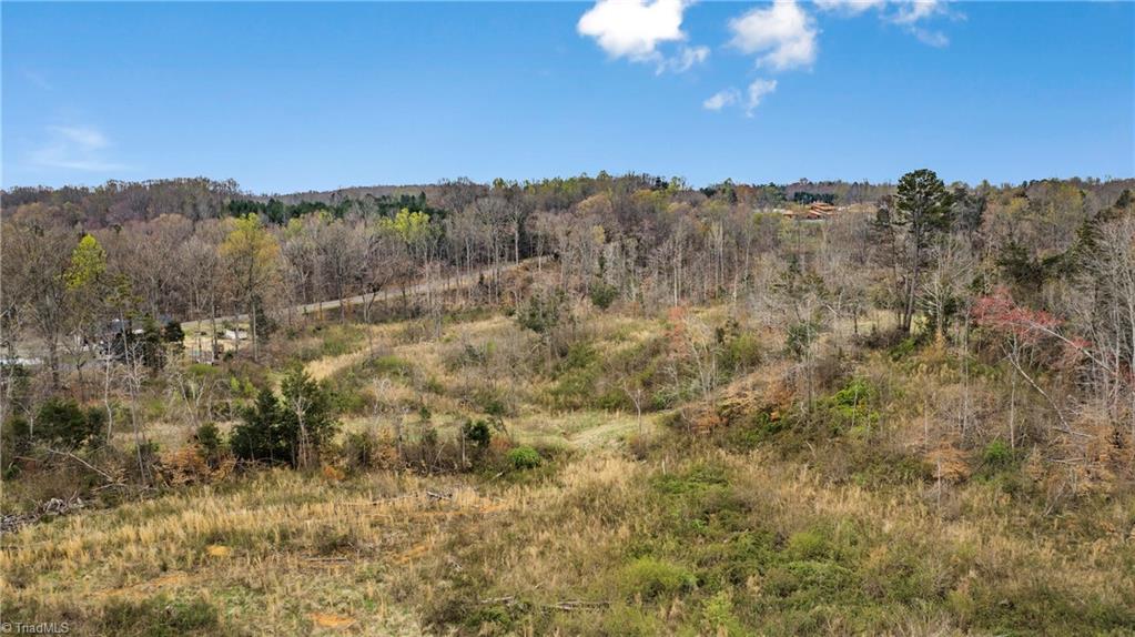 0 Fulton Road Advance, NC 27006 - Photo 30 of 37 22 +/- Acres - Fulton Road