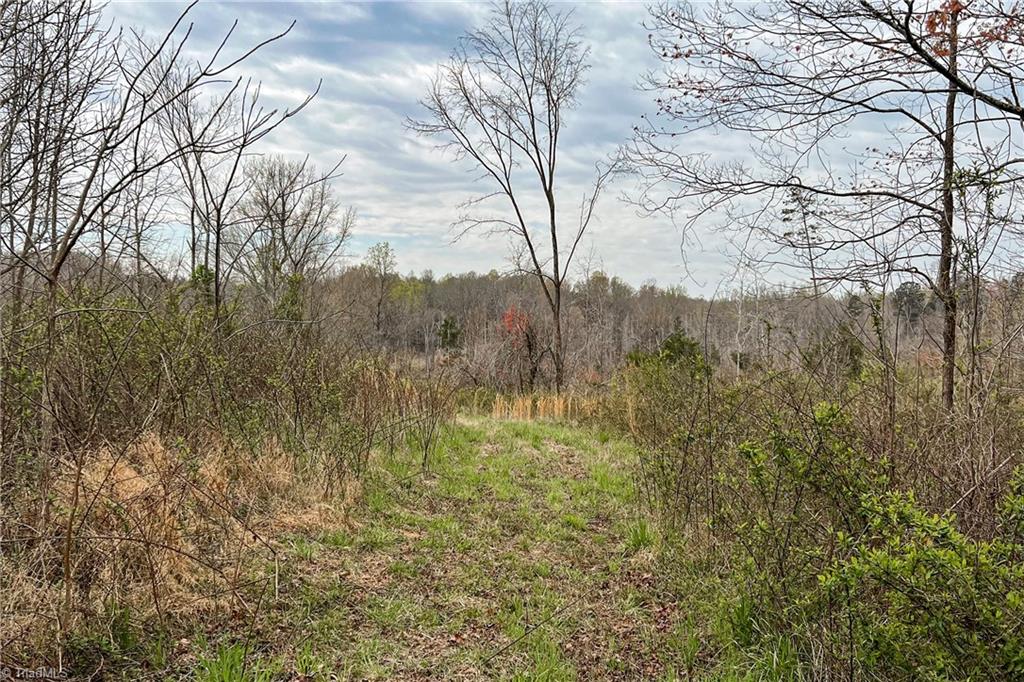 0 Fulton Road Advance, NC 27006 - Photo 35 of 37 22 +/- Acres - Fulton Road