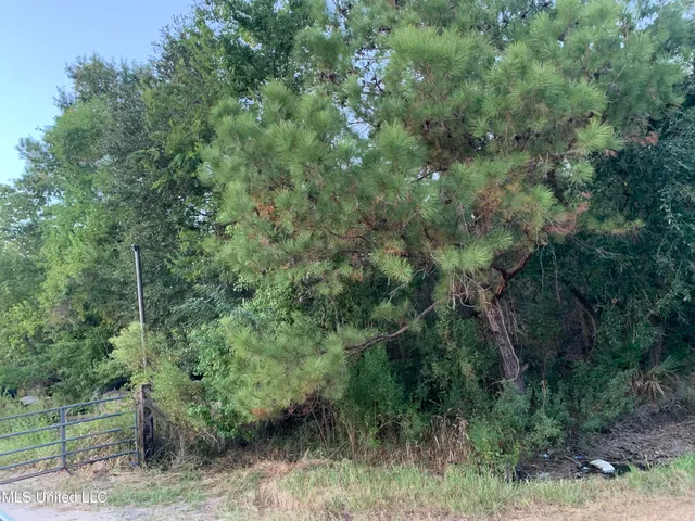 $18,000 | Asmard St Pass, Pass Christian, MS 39571