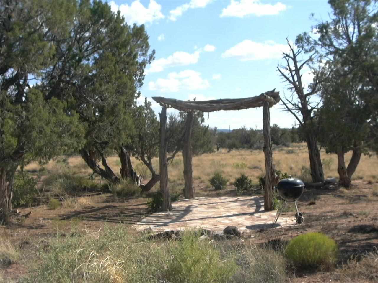 5366 Longhorn Road Snowflake, AZ 85937 - Photo 17 of 29 a backyard of a house with a table and chairs
