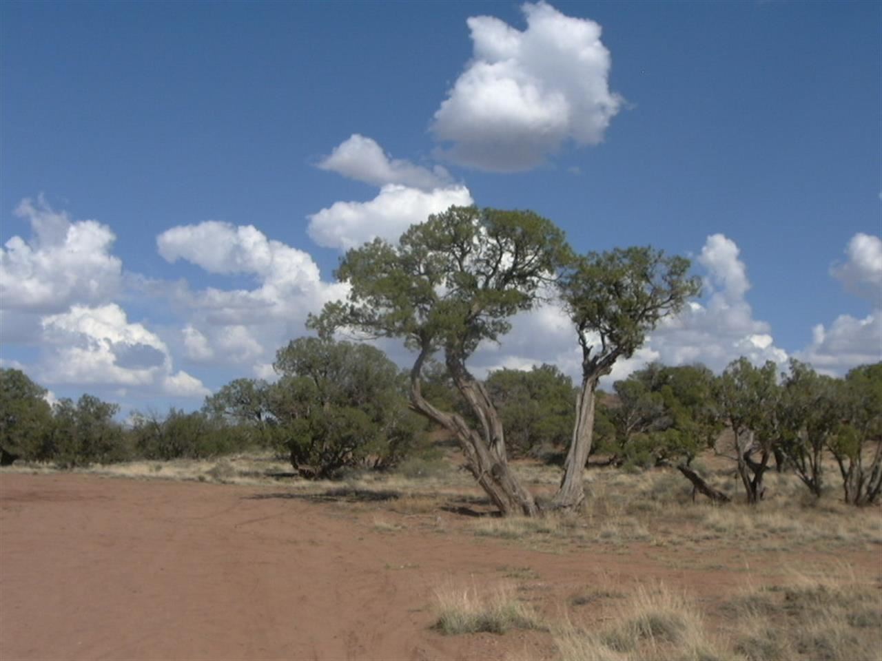 5366 Longhorn Road Snowflake, AZ 85937 - Photo 21 of 29 a view of a sky