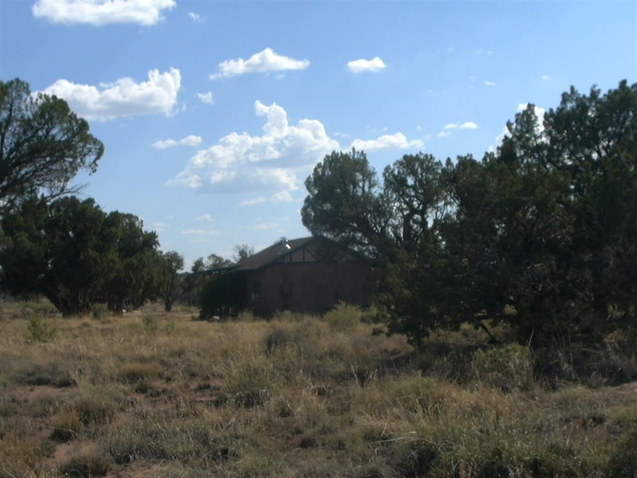 5366 Longhorn Road Snowflake, AZ 85937 - Photo 26 of 29 a view of a bunch of trees in a field