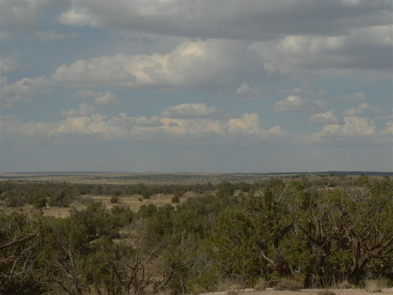5366 Longhorn Road Snowflake, AZ 85937 - Photo 29 of 29