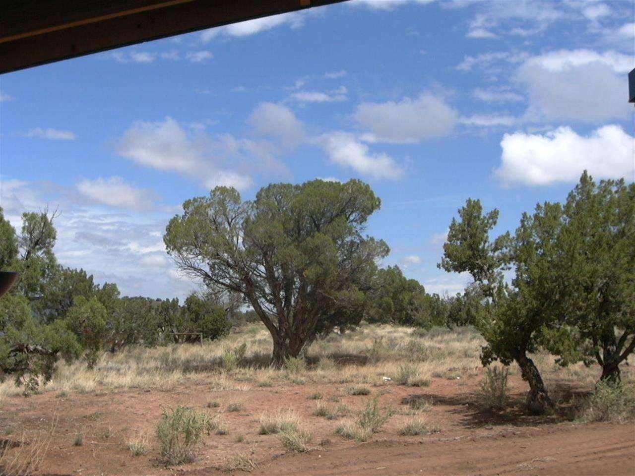 5366 Longhorn Road Snowflake, AZ 85937 - Photo 4 of 29 a view of a dry yard with trees