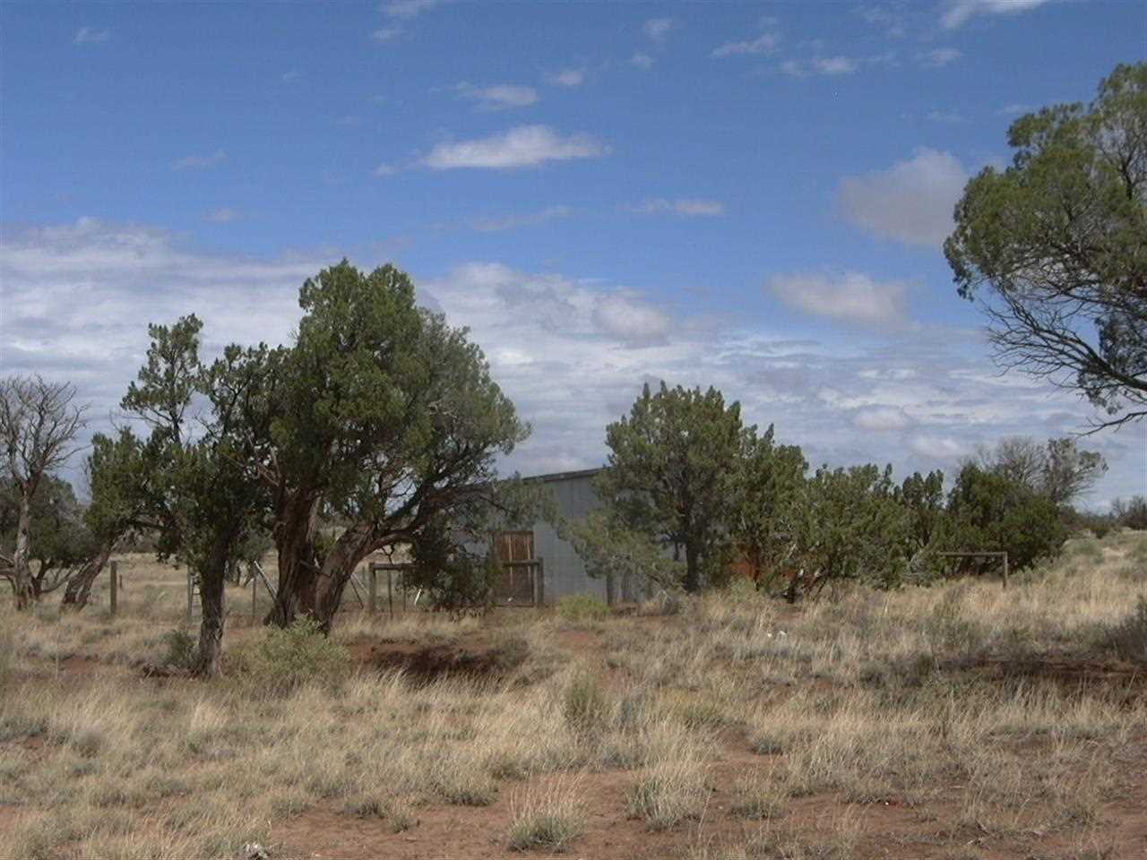5366 Longhorn Road Snowflake, AZ 85937 - Photo 5 of 29 a view of a yard with trees in the background