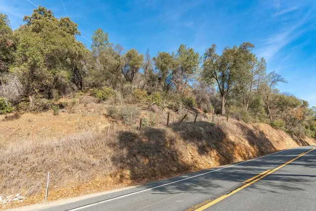 a view of a yard with street
