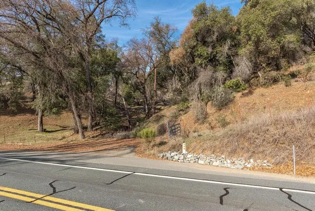 a backyard of a house with large trees