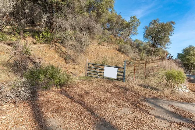 a view of a dry yard with trees