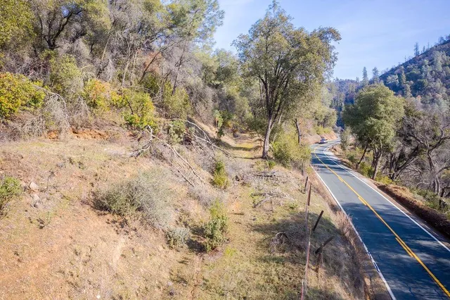 a view of a yard with trees