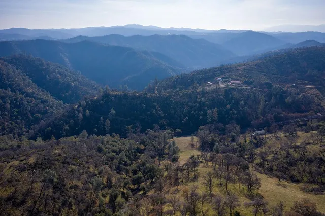 an aerial view of houses covered in trees