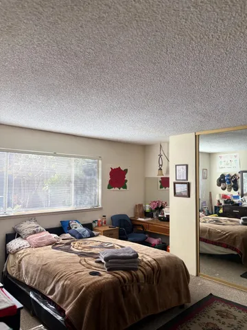 a view of a backyard with plants and a patio