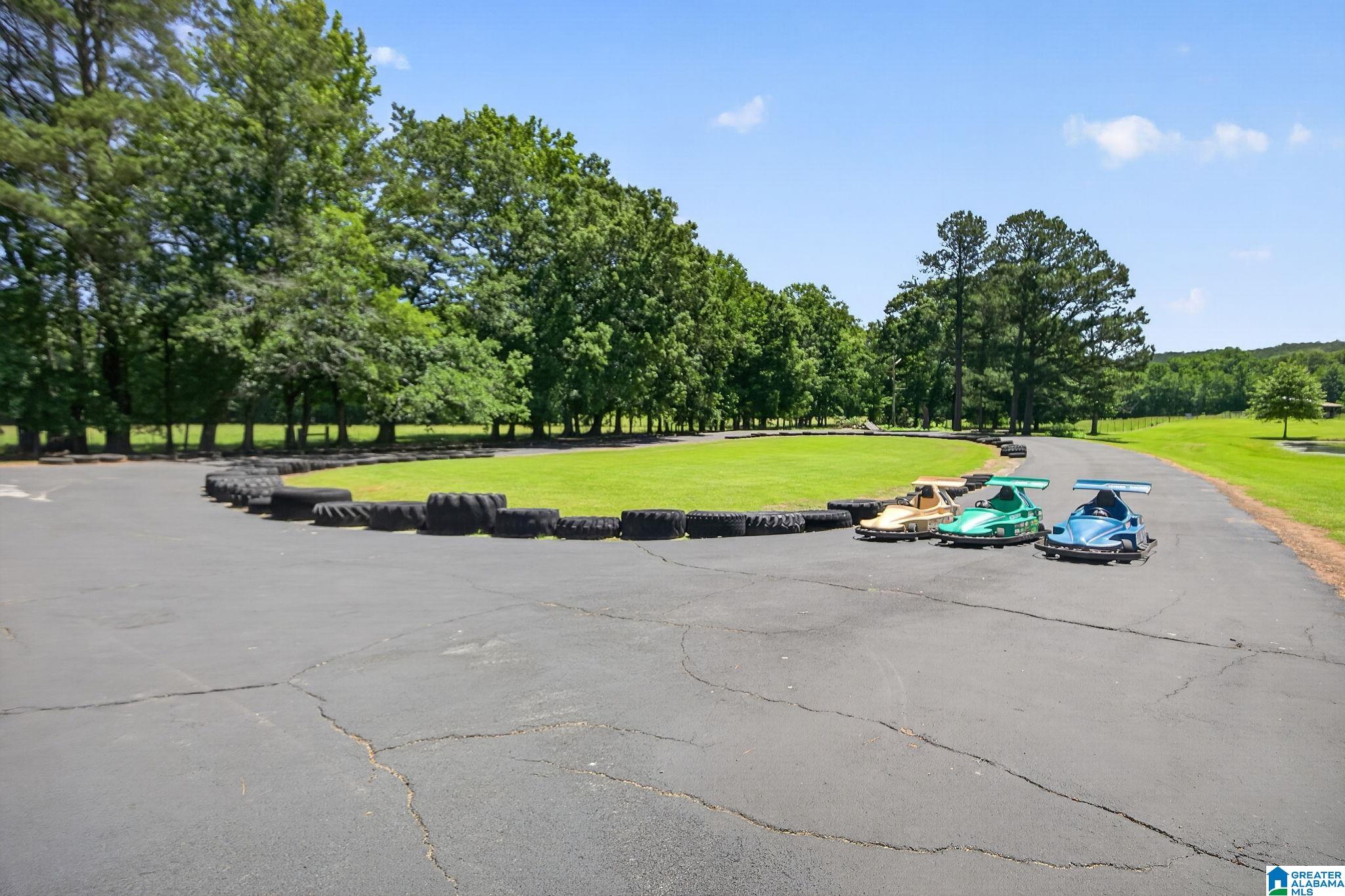 3463 County Road 3 Delta, AL 36258 - Photo 24 of 100