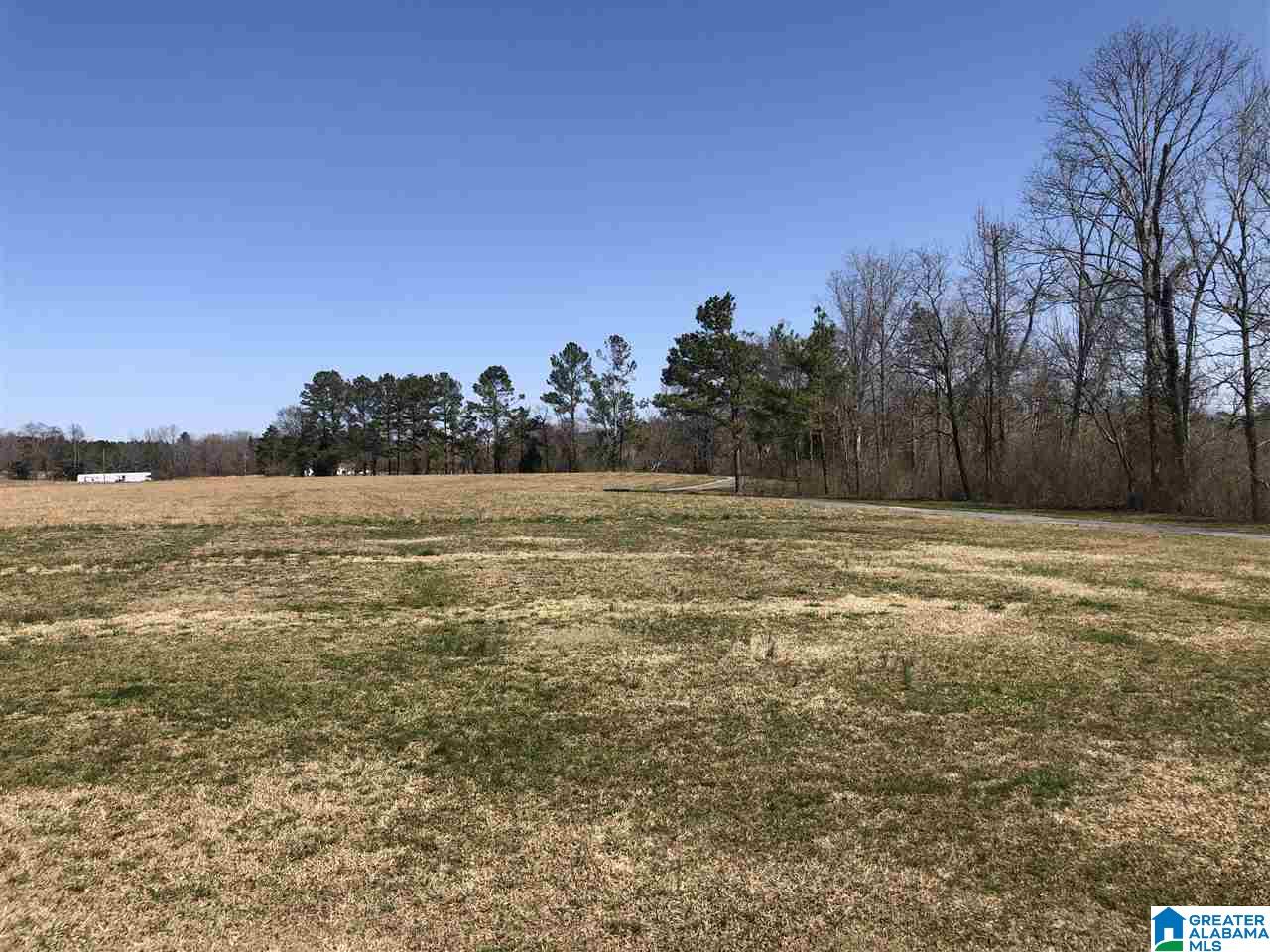 1839 Deaver Walker Road Cleveland, AL 35049 - Photo 2 of 30 Gallery Image 2