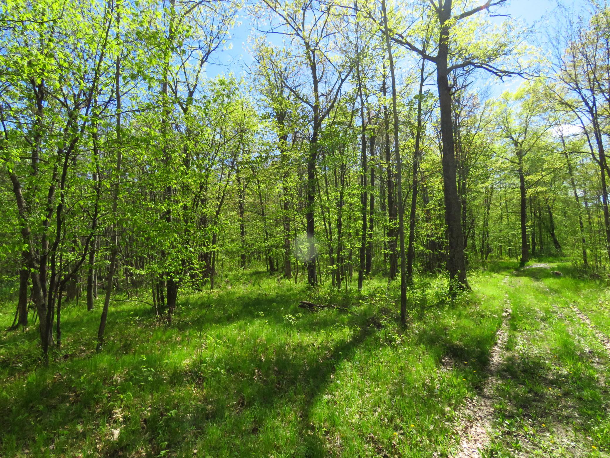 Xxx Xxx Herrick Road Frederic, WI 54837 - Photo 15 of 21