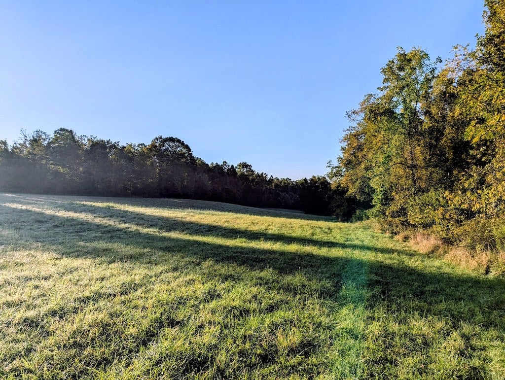 Tbd Daniels Run Road Northeast, Unit 1 Check, VA 24072 - Photo 9 of 24 Gallery Image 9