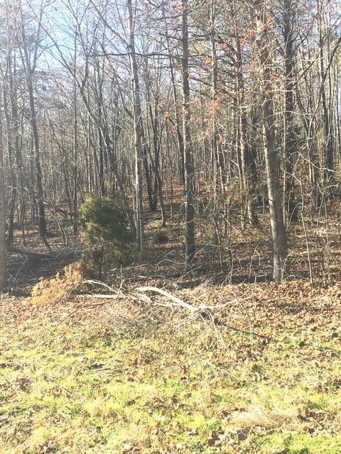 4443 Parker Loop Road Birchwood, TN 37308 - Photo 4 of 9 Gallery Image 4