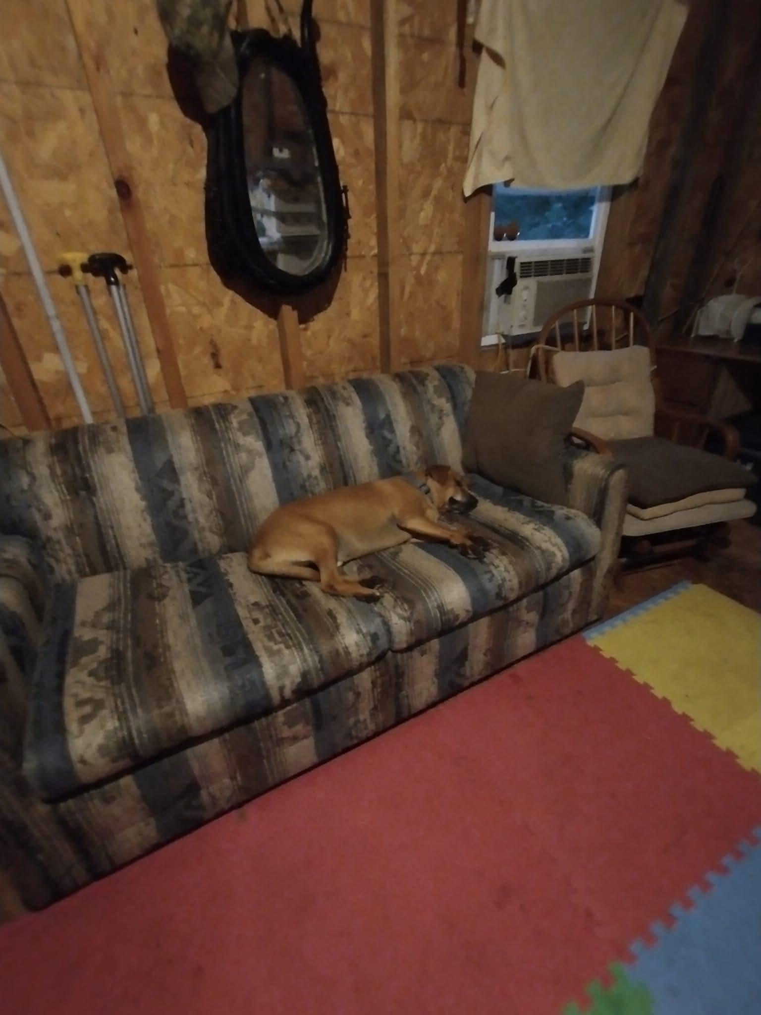 14 Nimrod Mn 56478 Sebeka, MN 56477 - Photo 17 of 22