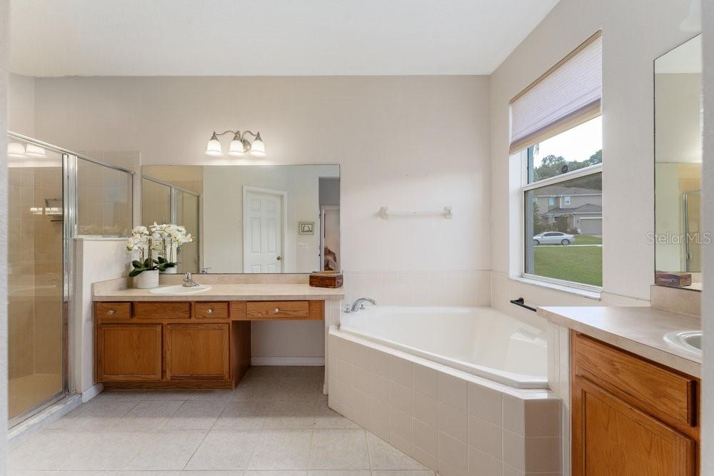 3463 Creek Run Lane Eustis, FL 32736 - Photo 35 of 83 a spacious bathroom with a tub sink and mirror