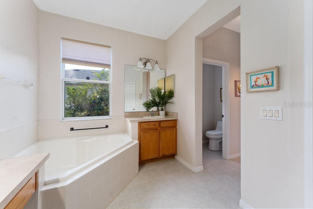 3463 Creek Run Lane Eustis, FL 32736 - Photo 37 of 83 a bathroom with a granite countertop tub a sink and a window