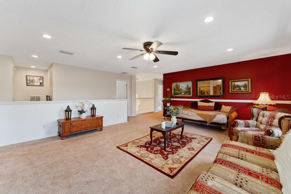 3463 Creek Run Lane Eustis, FL 32736 - Photo 41 of 83 a living room with furniture and a rug