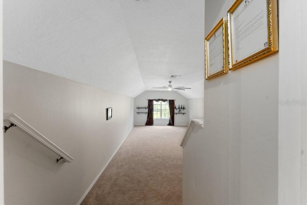 3463 Creek Run Lane Eustis, FL 32736 - Photo 57 of 83