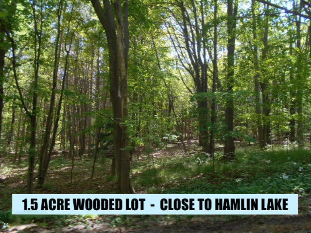 Weimer Road Ludington, MI 49431 - Photo 1 of 20 WEIMER