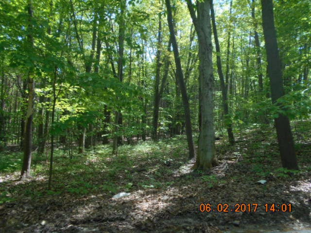 Weimer Road Ludington, MI 49431 - Photo 11 of 20 010
